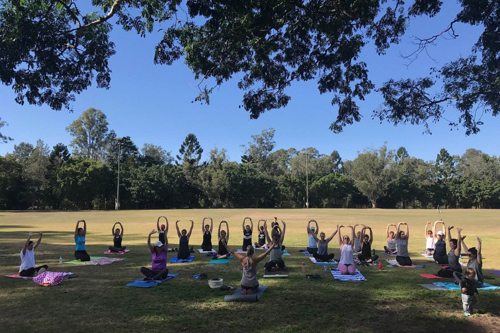 large group of women practising yoga in the park